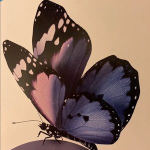 Meet your Posher, Thuy